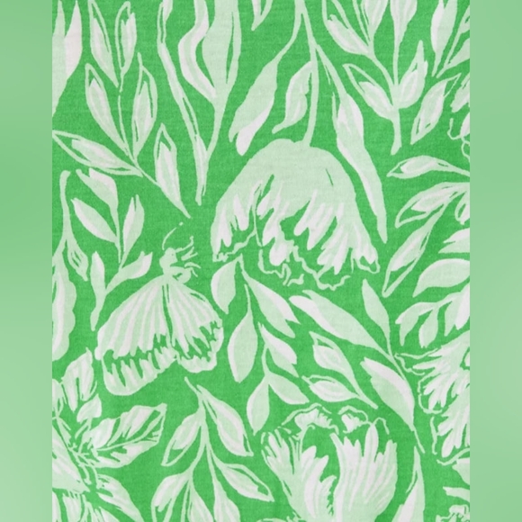 Lilly Pulitzer Riegan Fauna Green and White Dress Size XXS - Picture 5 of 11